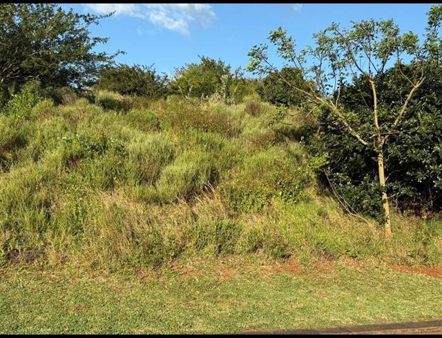 LAND FOR SALE IN ZINI RIVER ESTATE
